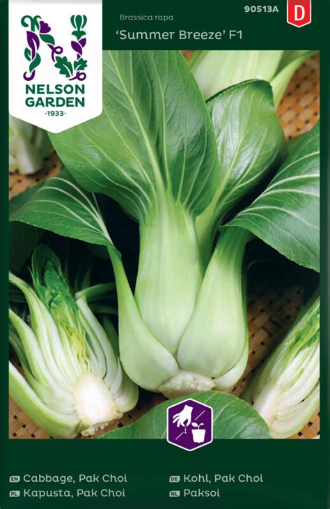 Nelson Garden Pak Choi Kohl Summer Breeze F Pak Choi Samen F R Ihren