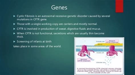 Gene Therapy For The Treatment Of Cystic Fibrosis