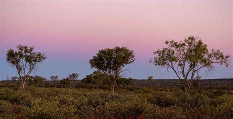 Days Uluru Tour From Uluru