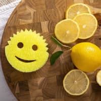 Jual Scrub Daddy Spons Pembersih Lemon Fresh Terbaru Ruparupa