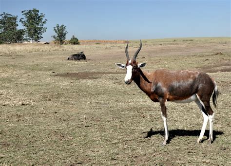 Sailors on Safari - Rob and Dee Overland in Africa 2014 - 10,000 miles ...