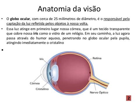 Biofísica Da Visão