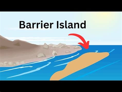 What is a Barrier Island? | MooMooMath and Science