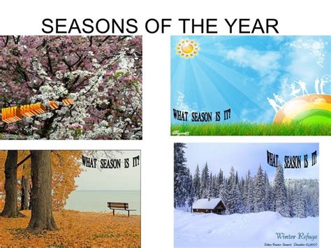 Seasons Of The Year