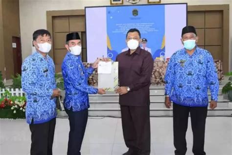 Honorer Segera Diangkat Asn Pppk Menpan Rb Sebut Golongan Ini