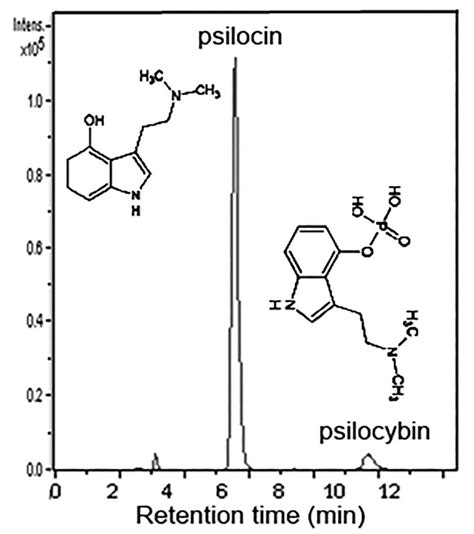 Typical Extracted Ion Chromatograms Of Molecular Ion Of Psilocin And