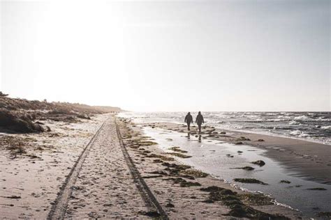 From Zingst Boat Trip To The Island Of Hiddensee Getyourguide