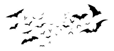 Premium Vector | Flying bats vector silhouette