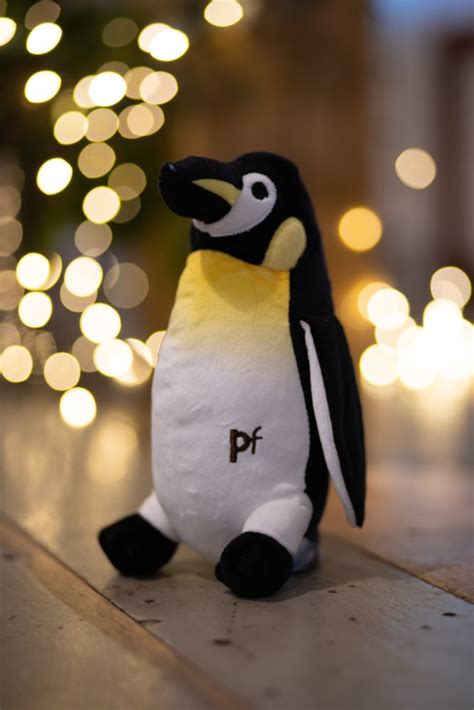 PETFACE PLANET PANUK PENGUIN PLUSH DOG TOY : Petface by LeisureGrow Products Ltd