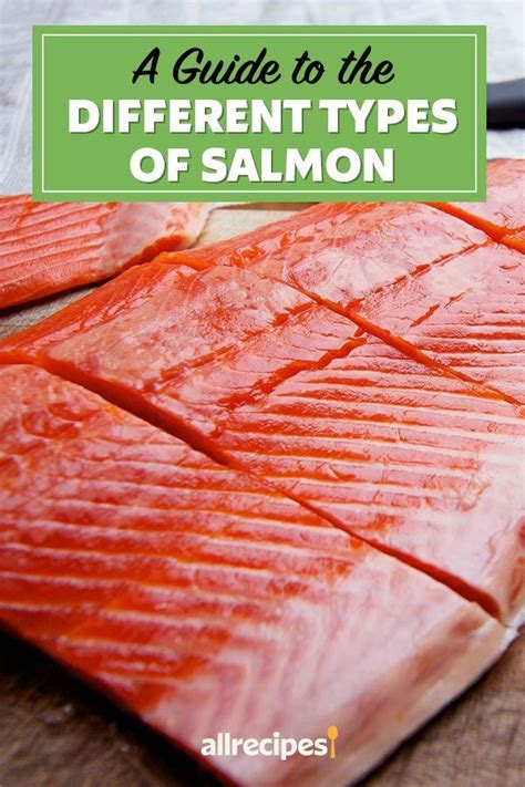 Wondering What S The Difference In Types Of Salmon This Guide Will Tell You The Difference In