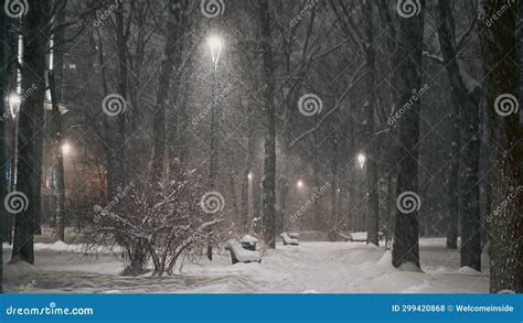 Winter Night In Heavy Snowfall Storm In The Park Beautiful Lantern