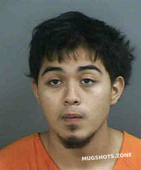 Virves Carlos Roberto Jr Collier County Mugshots Zone