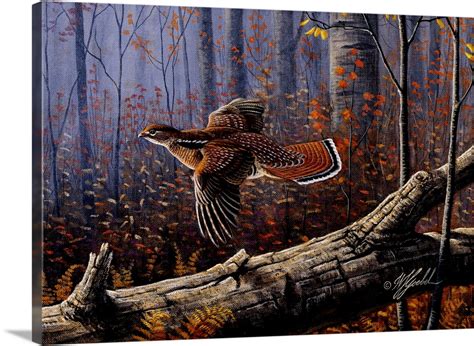 Windfall Glider Ruffed Grouse Wall Art Canvas Prints Framed Prints