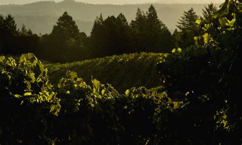 Hudson – Napa Valley Winery - Cabernet Franc, Chardonnay, Grenache