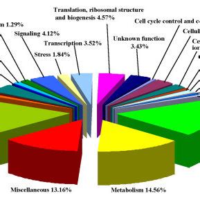 Functional Classification Of CaUnigenes From Root Transcriptome The