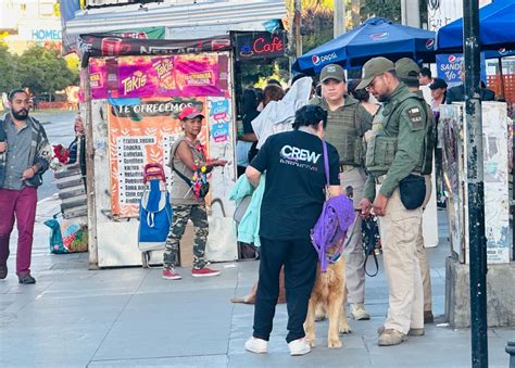 Más de dos mil fiscalizaciones y 29 detenidos arrojan servicios