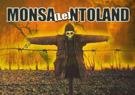 Terra Real Time Sugli Ulivi E Del Salento Lo Spettro Lugubre Di Monsanto