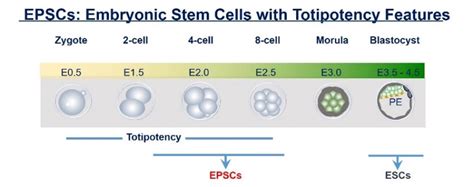 Epsc