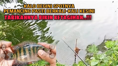 Rejeki Nomplok Louhan Baru Dua Kali Mancing Babon Di Sini Mancing