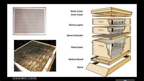 Basic Beekeeping 101 Short Review YouTube