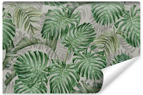 Fototapeta Do Sypialni Egzotycznie Liście MONSTERA Efekt 3D 135cm x