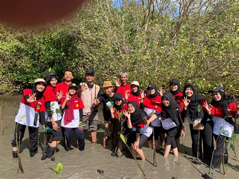 Mahasiswa Ppg Prajab Fkip Unej Peduli Ekosistem Mangrove Jurnal News