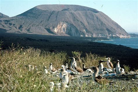 Source Of Galapagos Eruptions Is Not Where Models Place It