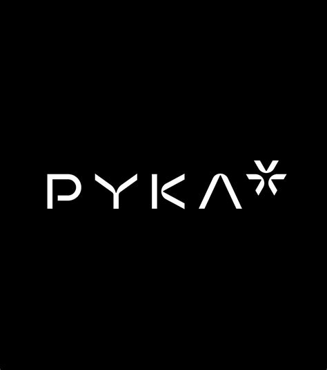 Pyka on Behance