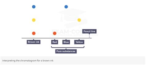 Paper Chromatography Exam Corner