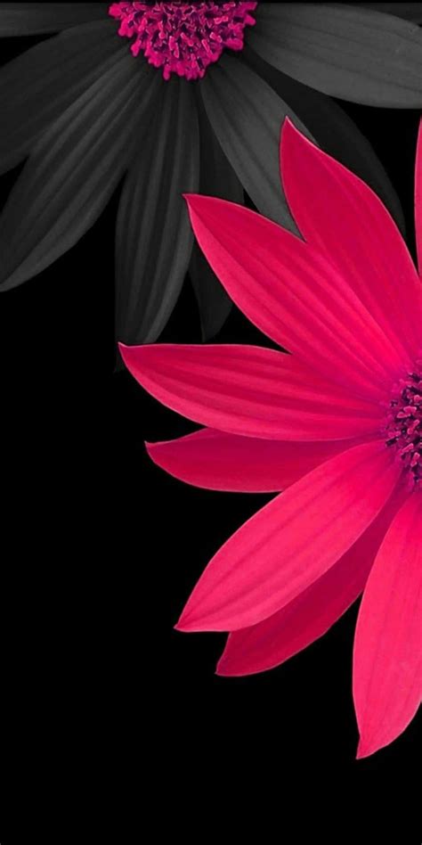 Download Captivating 3d Flower Wallpaper Wallpaper