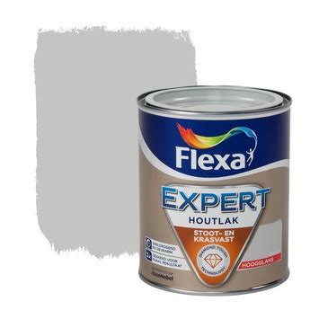 GAMMA Flexa Expert Lak Zilvergrijs Hoogglans 750 Ml Kopen