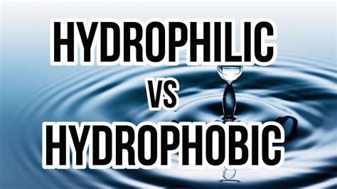 Hydrophilic Examples