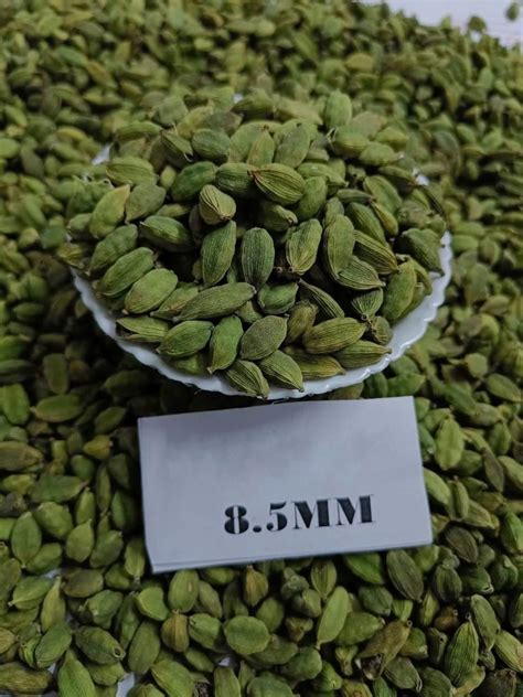 Variety Of Cardamom Super Bold Green Cardamom Mm Kg At Rs