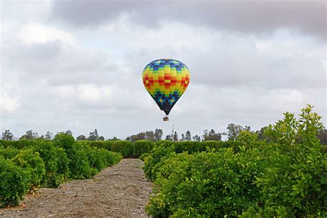 880+ Hot Air Balloons California Stock Photos, Pictures & Royalty-Free Images - iStock