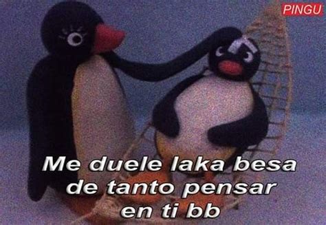 Pin De Zia Van Houten En Pingu Frases Memes Amor Memes Rom Nticos