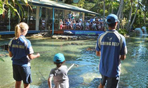 Daydream Island Living Reef Rangers Whitsunday Escape