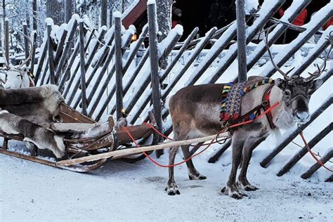 Top Winter Lapland Activities | Untravelled Paths