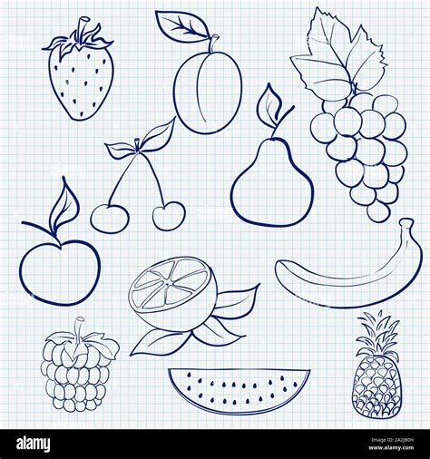 Discover More Than Outline Sketch Of Fruits Super Hot Seven Edu Vn