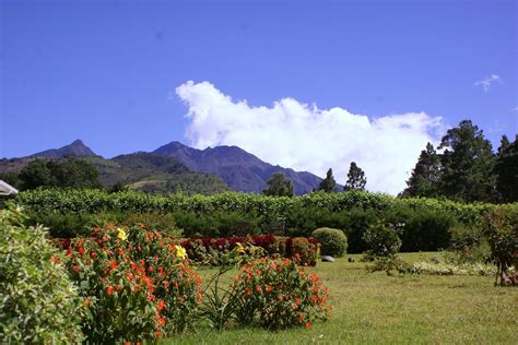 Turismo E Viagem Para Cerro Punta 2024 Lugares Para Visitar Tripadvisor