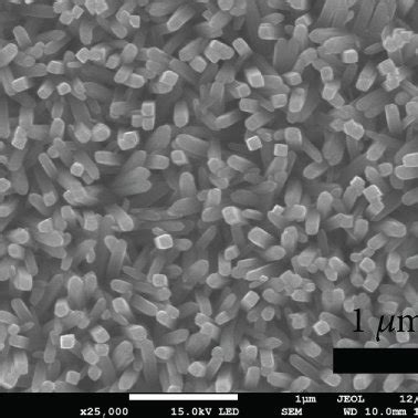 Sem Images For A Surface And B Cross Section Morphologies Of Tio