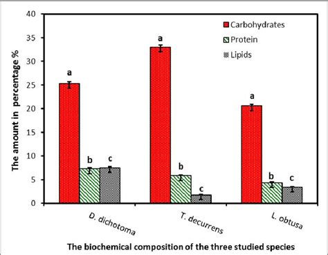 Carbohydrates And Lipids Venn Diagram