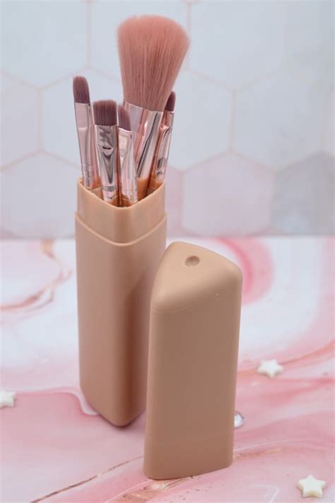 Set Brochas X Pz Estuche Cilindro Nude Valmar