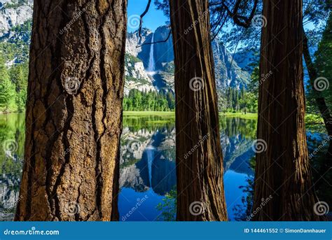 Yosemite Park Narodowy Odbicie W Merced Rzece Yosemite Siklawy I Pi