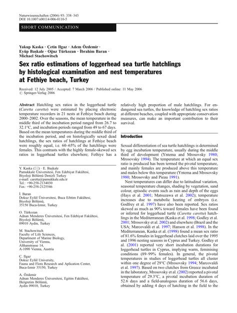 Pdf Sex Ratio Estimations Of Loggerhead Sea Turtle Hatchlings By