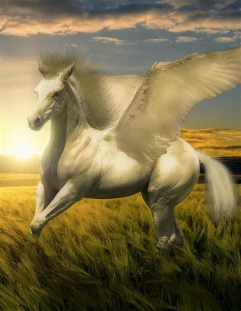 Pegasus...love this... | Animali, Unicorno