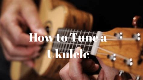 How To Properly Tune Your Ukulele