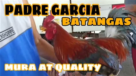 Usapang Manukan Sa Padre Garcia Batangas Part Youtube