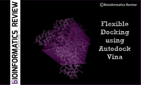 How To Perform Flexible Docking Using Autodock Vina Bioinformatics