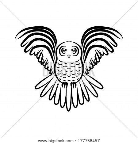 Flying Owl Silhouette Vector & Photo (Free Trial) | Bigstock