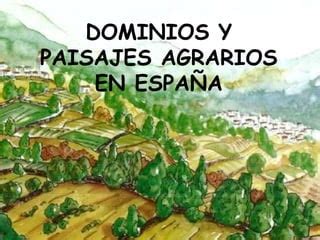 Paisajes Agrarios De Espa A Ppt